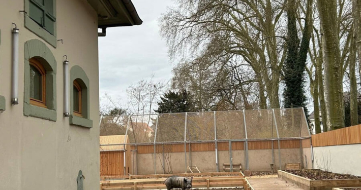 Réalisation du lot Métallerie à l’Arche de l’Orangerie à Strasbourg