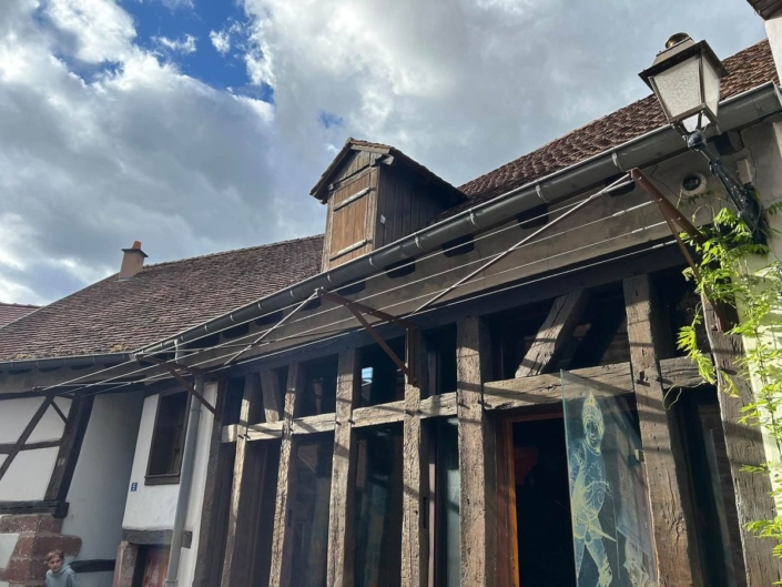 Câbles et supports métalliques de la pergola pour plantes grimpantes sur la façade à colombages